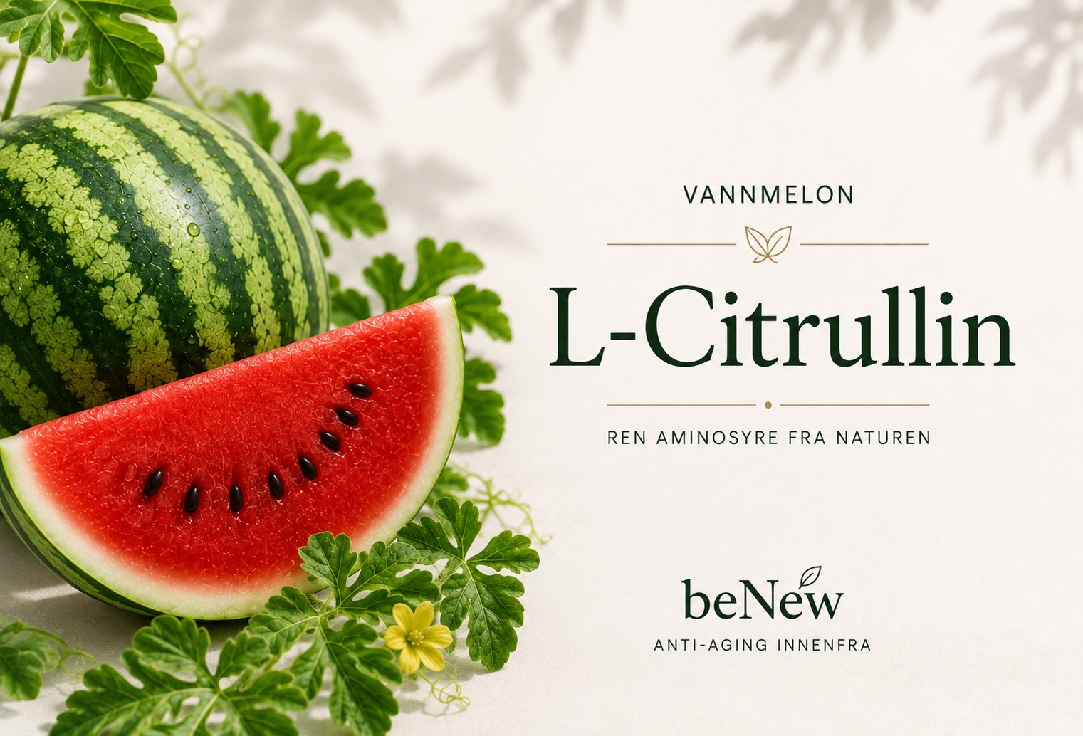 Aminosyren som ble oppdaget i vannmelon